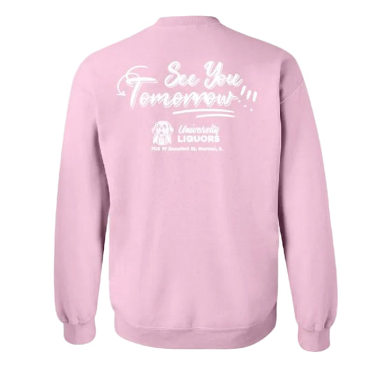 Crewneck Sweatshirt In Pink