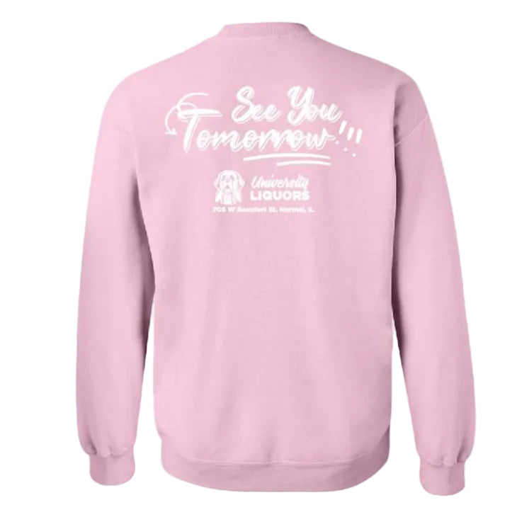 Crewneck Sweatshirt In Pink