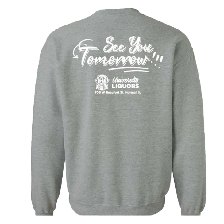 Crewneck Sweatshirt In Sports Gray